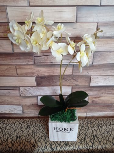 Orchidea selyemvirág fa kaspóban Home