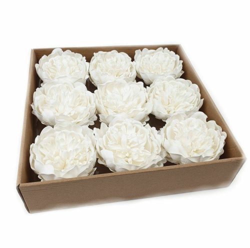 Szappanvirág peonia fejek dobozban - fehér