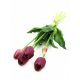 Élethű gumi tulipán 5 szálas csokor - mályva