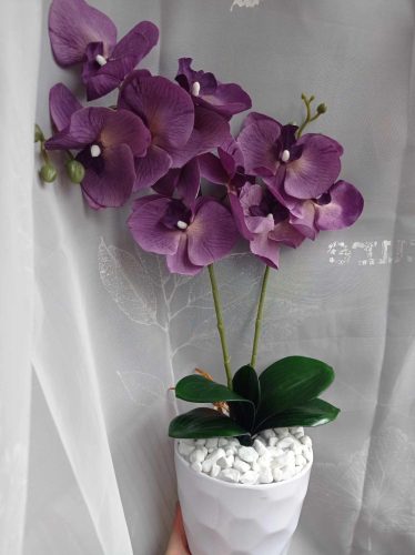 Orchidea asztaldísz kaspóban