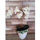 Orchidea selyemvirág műanyag kaspóban - fehér