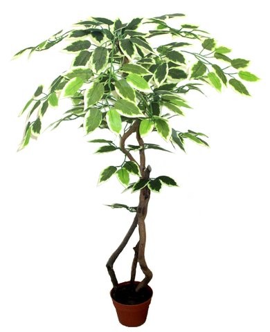 Tarka fikusz fa műnövény 90 cm