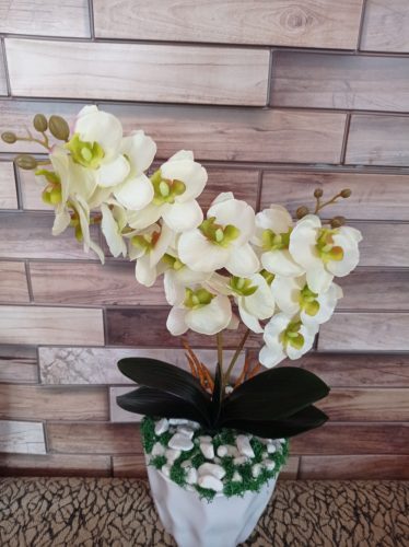 Orchidea selyemvirág műanyag kaspóban - krém/zöld
