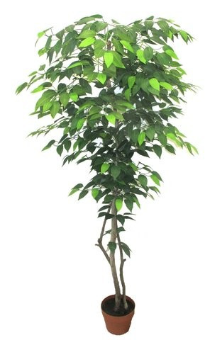Zöld fikusz fa műnövény 150 cm